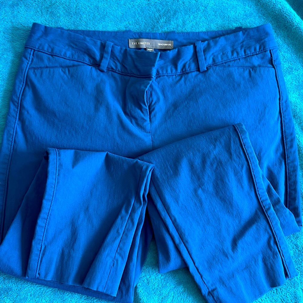 Dark Navy “The Limited” pants